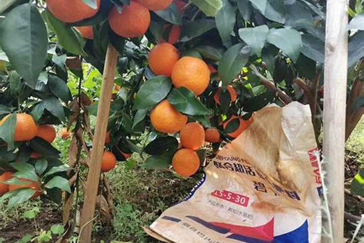 新疆哈密瑞坤科技公司的腐植酸钾有机肥质量怎么样