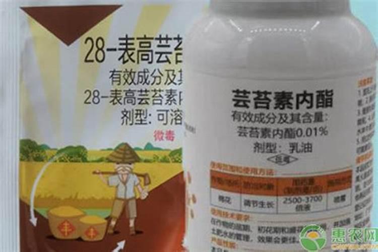 葡萄上使用芸苔素技术