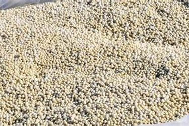水培蔬菜用什么肥料？