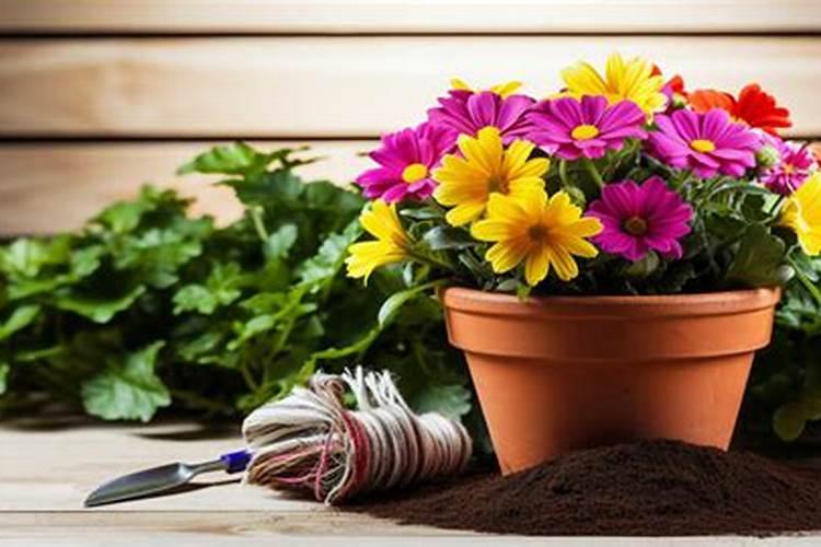 花施肥多了怎么办 花施肥多了如何补救