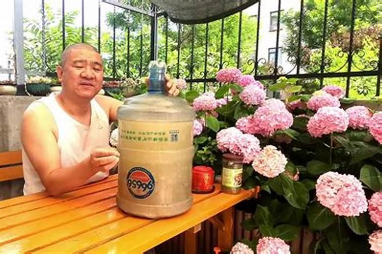 磷钾肥自制简单不花钱的方法