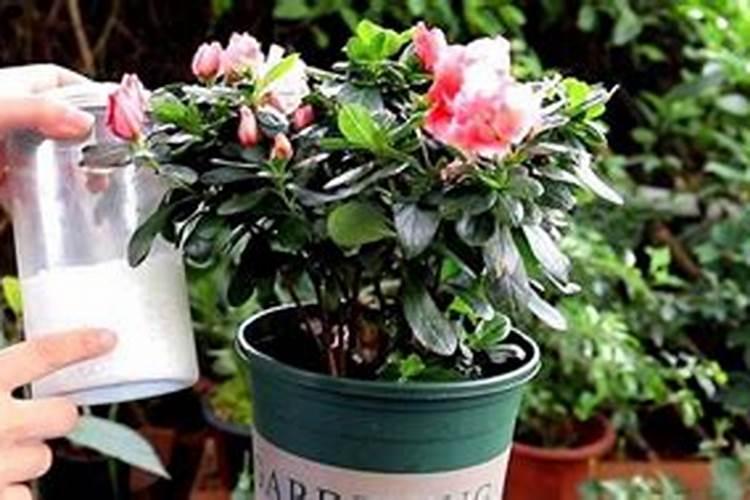 1斤复合肥兑水多少斤