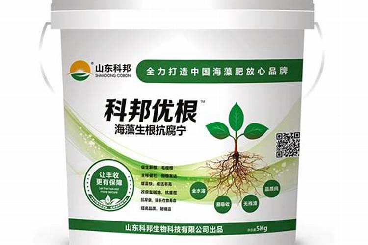 菲丁多少钱一斤