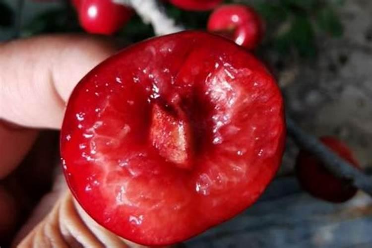 化肥农药属于什么板块