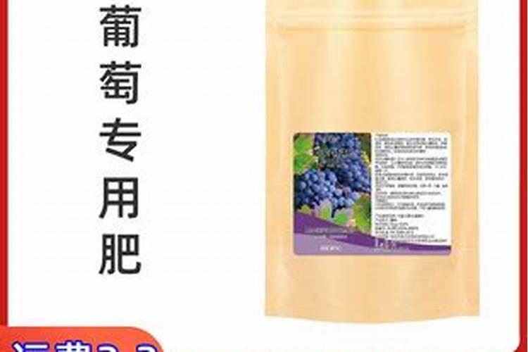 栀子花要多久浇水