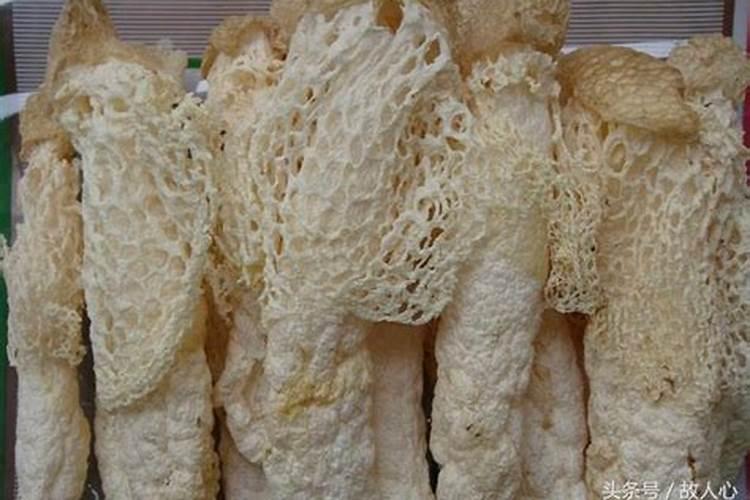 摩根是什么意思