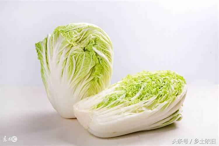 大白菜施肥尿素行吗