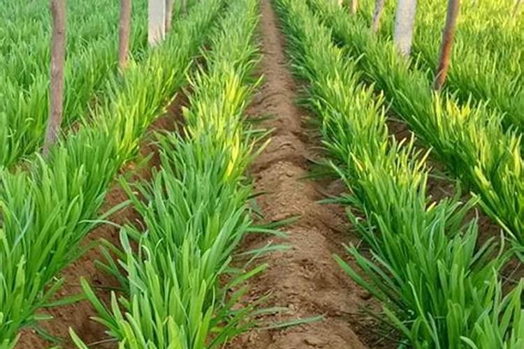 15毫升离心管加多少液体离心效果好