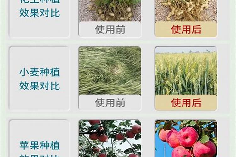 不同种类肥料的通用名怎么区分