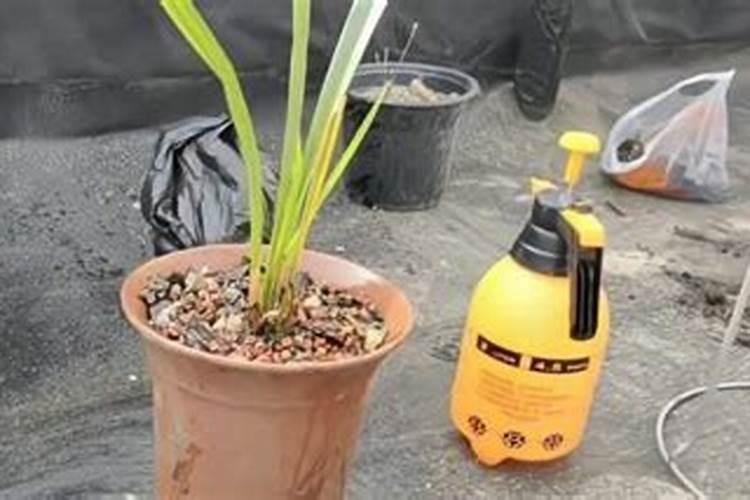 多菌灵是碱性还是酸性能与叶面肥混用吗？