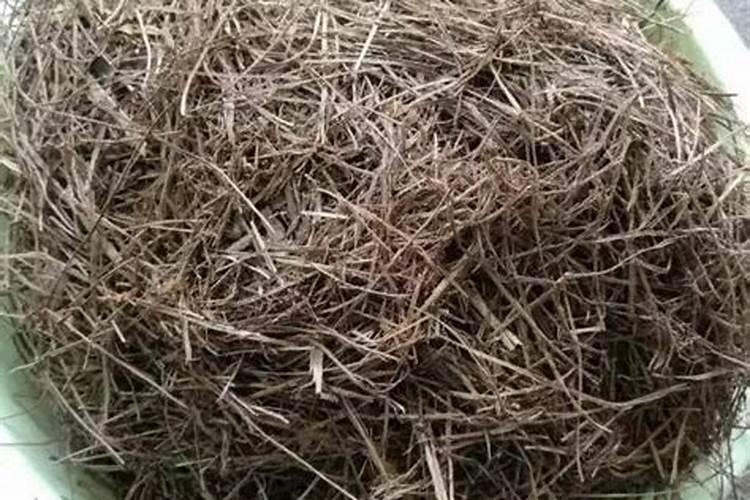 青草水份太多怎样发酵？