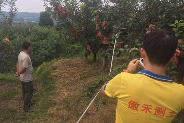 果树施肥时间和方法