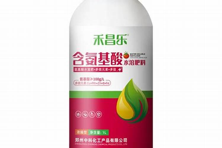 发财树冬天叶子黄了可以怎么救治