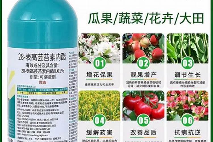 种白菜用什么肥料好