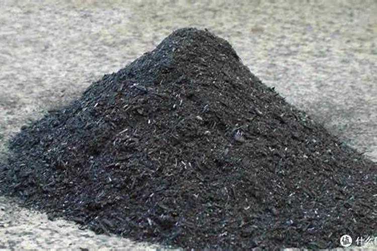 纸灰种菜可以吗