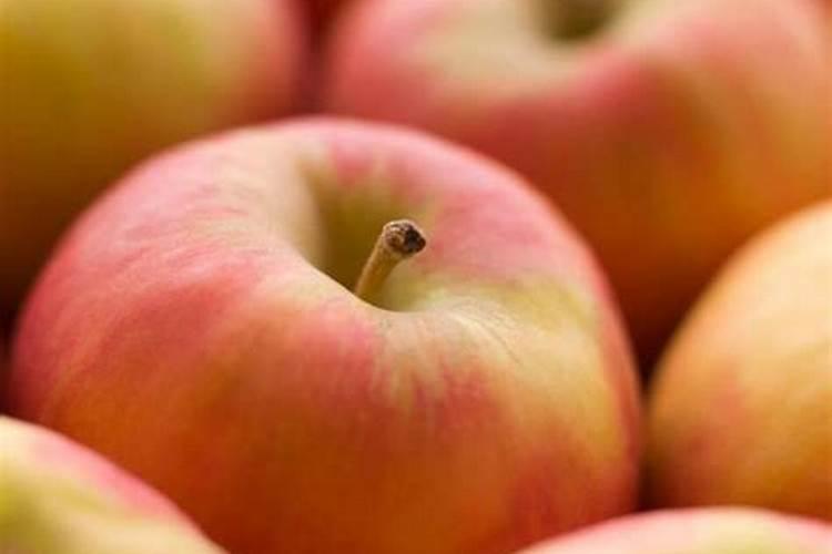 什么冲施肥对果实膨大最快