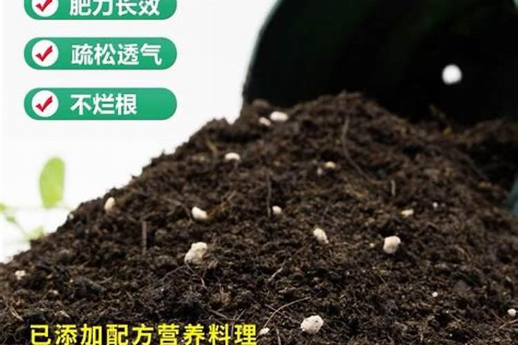 种植草莓需要什么肥料种植草莓用什么肥料最好