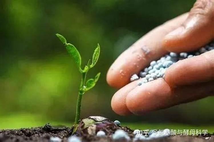 肥料在农业生产中起着什么作用？