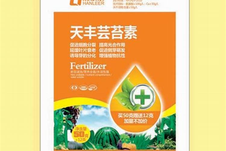 沙糖桔花蕾期,应做好什么管理工作