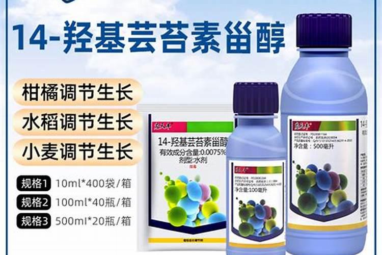 天丰素天丰素