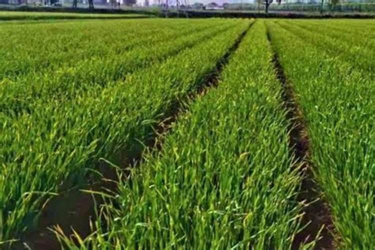 ...很关心掘今队 我想知道他现在和以后的战绩 给个网站啊