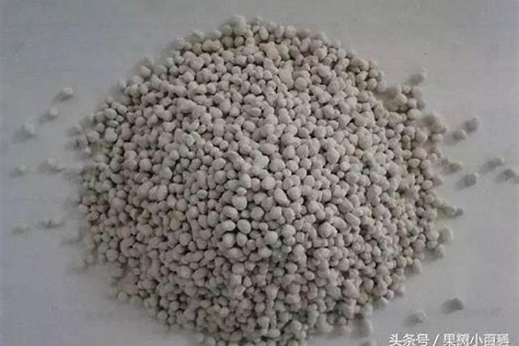 长效磷肥长效磷肥与植物营养