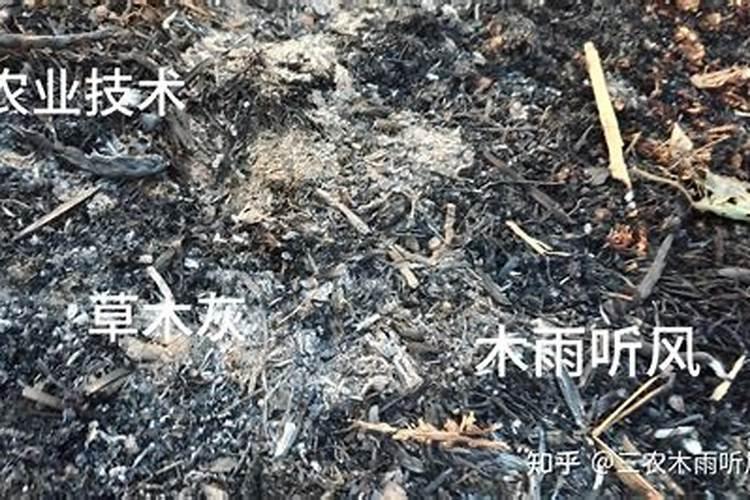 草木灰用作肥料有什么作用？