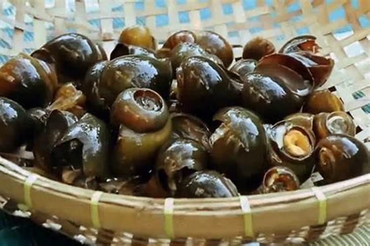 福寿螺可以埋了做肥料吗