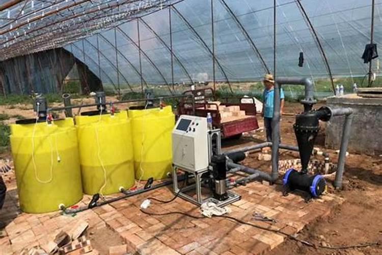 大陇椒黑龙江几月份种植？