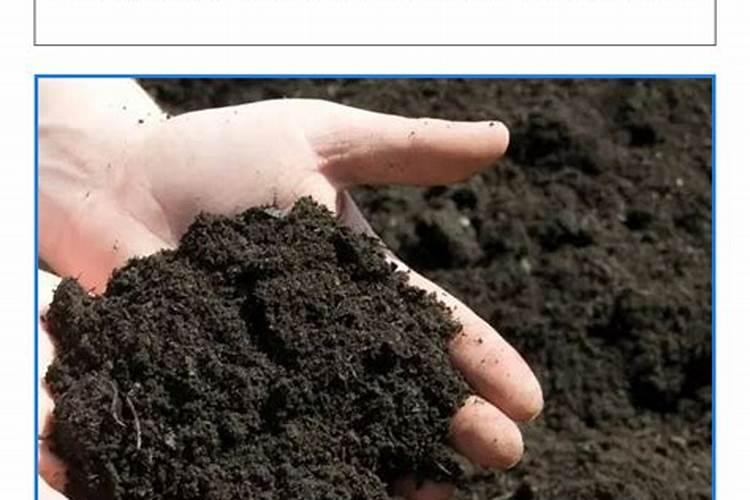 钾肥怎么施效果好