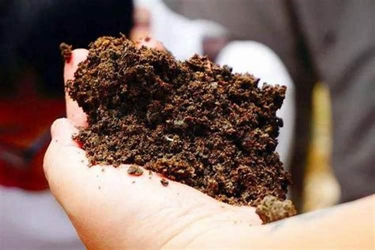 海藻肥国内那家品质量好？生物有机肥那家好？有机碳肥如何？