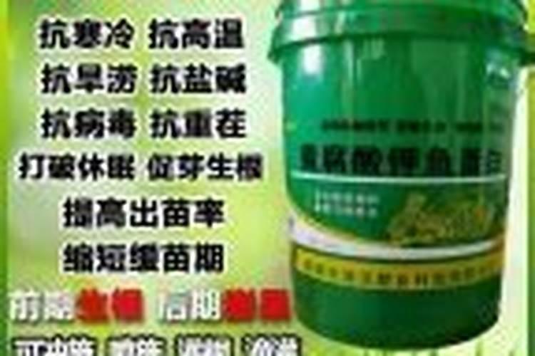 花生用什么肥料最好高产