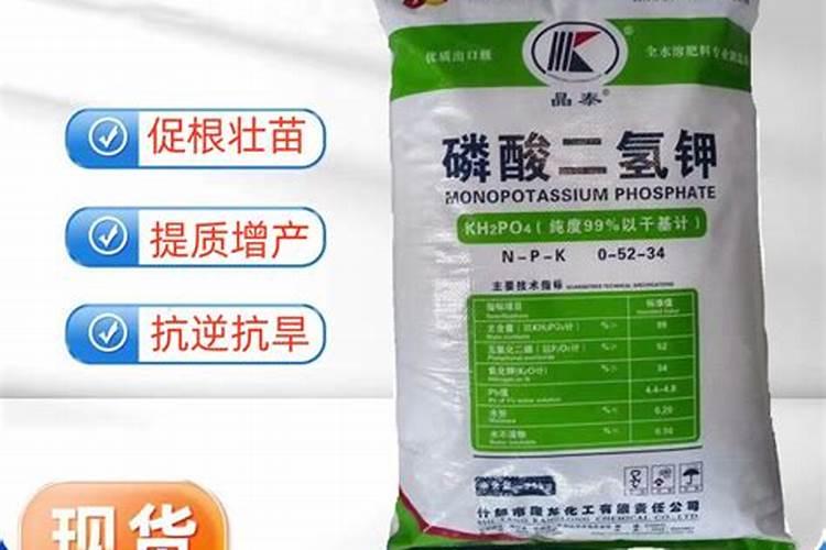 三月份适合种什么花