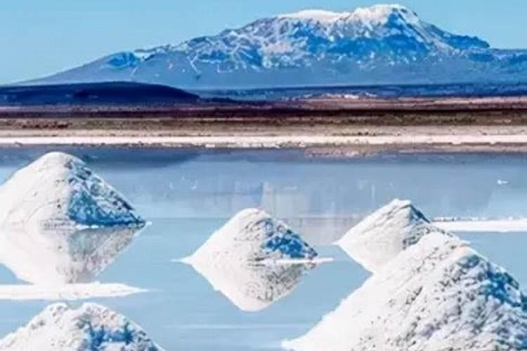 华鑫股份:天天基金每日净值查询400001