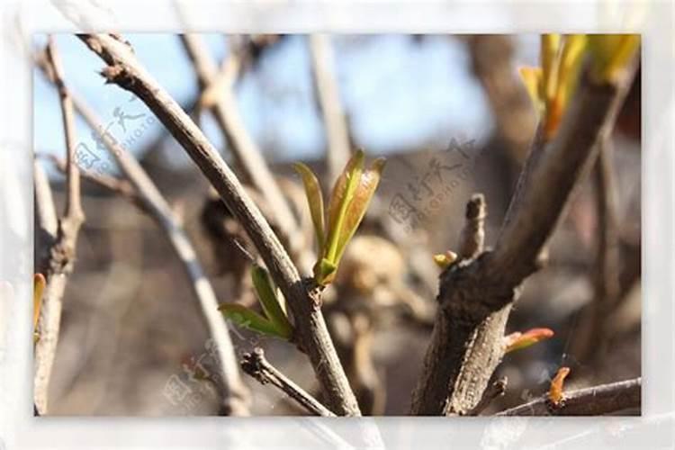 我想用沼液生产水溶肥,都需要哪些设备
