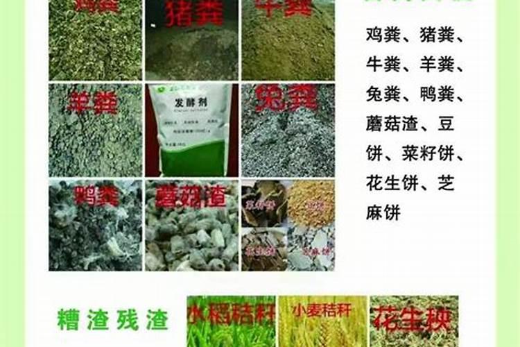 米糠可以做肥料吗