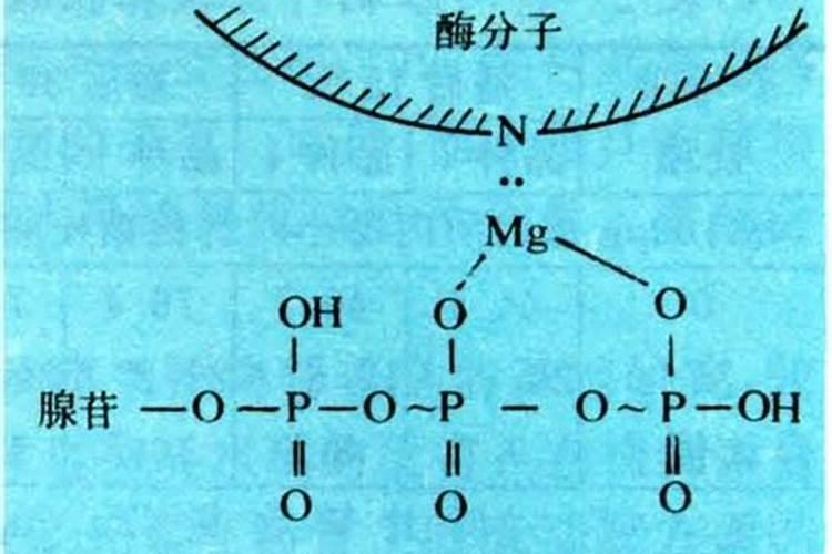 中国卖的最好的复合肥
