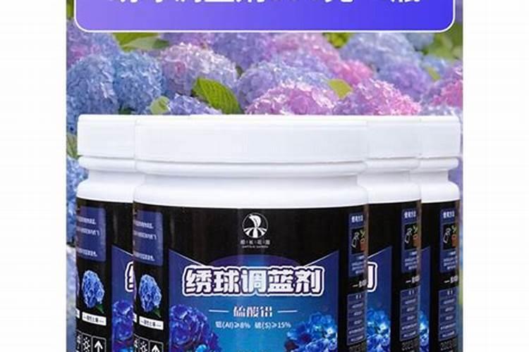 绣球,你调蓝了吗？