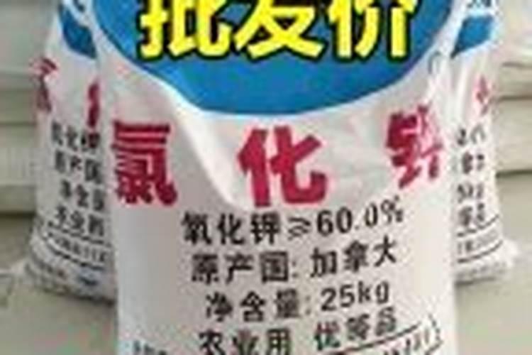 辣椒大棚定植后如何管理水肥