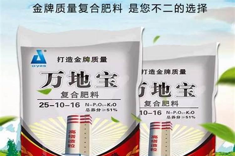 虾塘冬季用什么肥水 冬天虾塘肥水用什么最佳