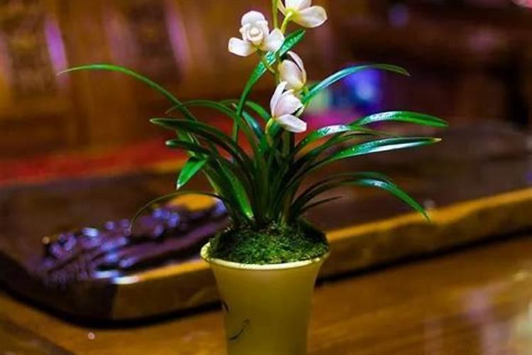 《黑化肥》绕口令有哪些