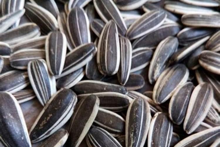 现在种美葵晚不晚？