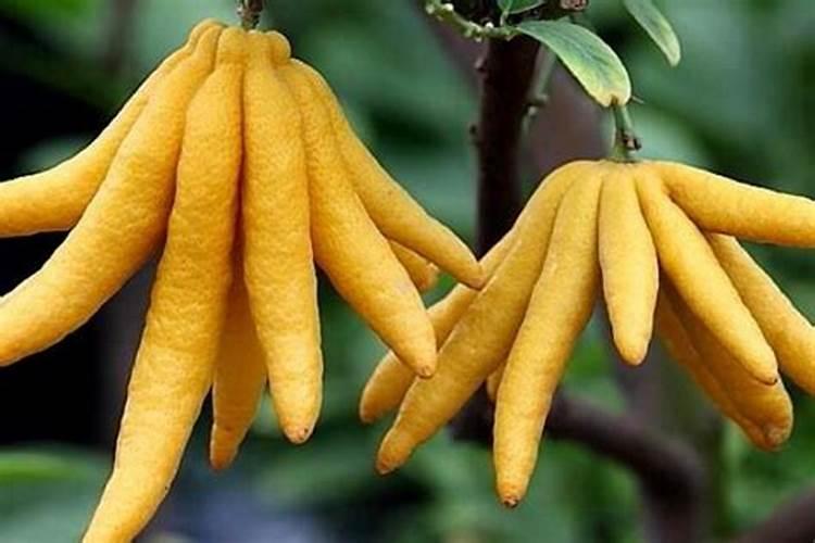 台沃复混肥料35公斤多少线一色？