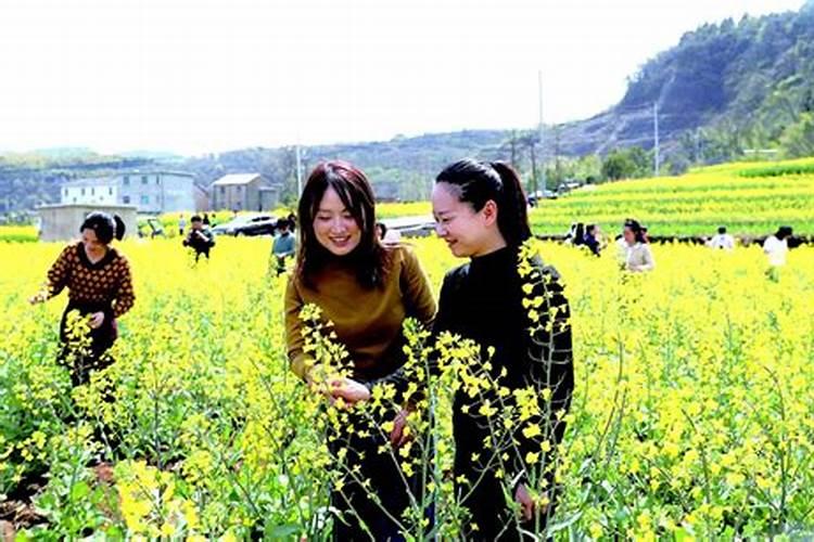 油菜施什么肥好