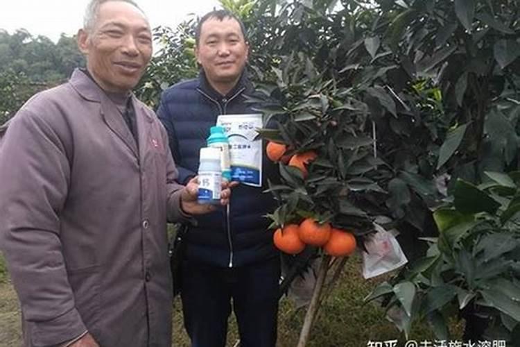 钙肥和哪些不能混用