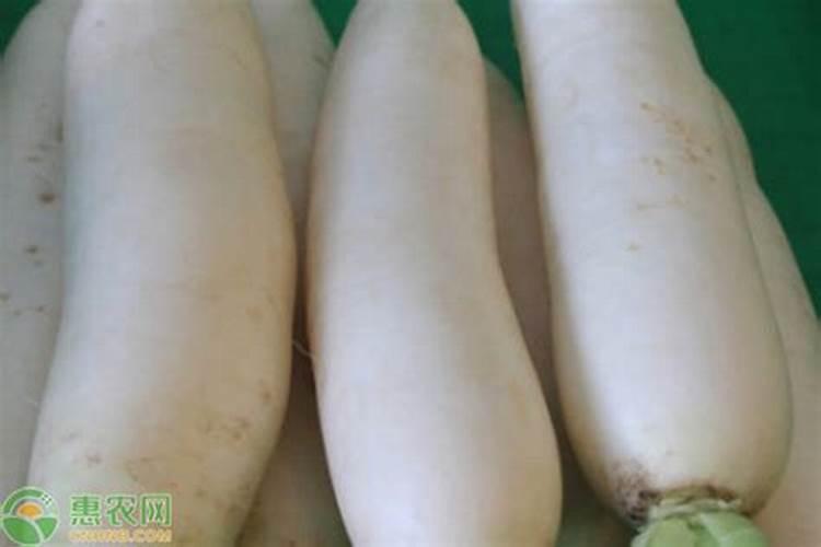 萝卜什么时候施肥