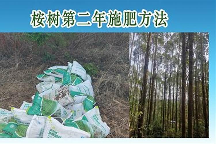 妖精的尾巴动漫米拉有几种变身形态。请加上图片