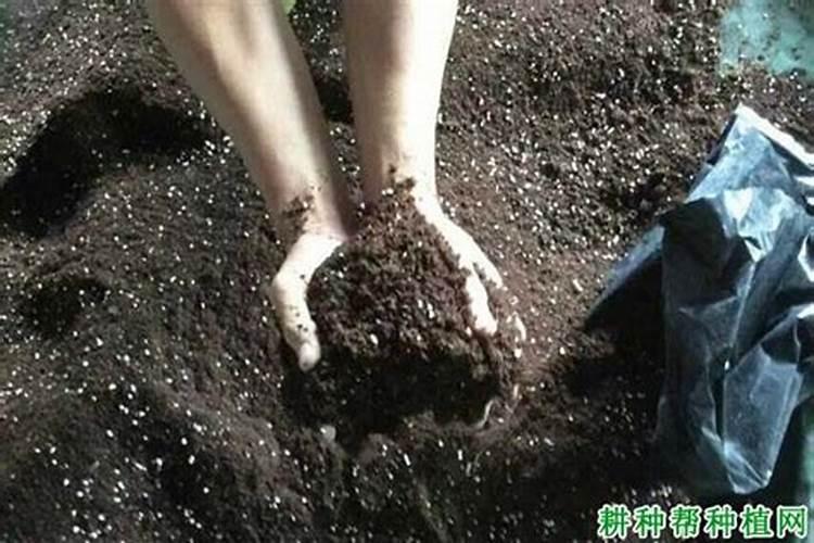 水稻肥料最佳配比