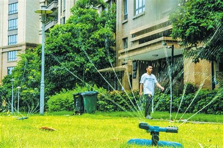 四季青狗牙根草施什么肥冬天能施肥吗