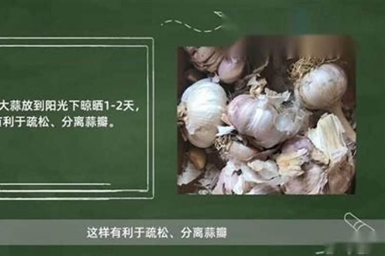 种大蒜最好的复合肥